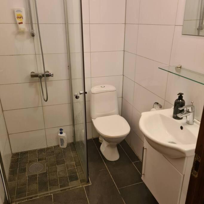 Lake View Apartment, Oldedalen Стрин Екстериор снимка